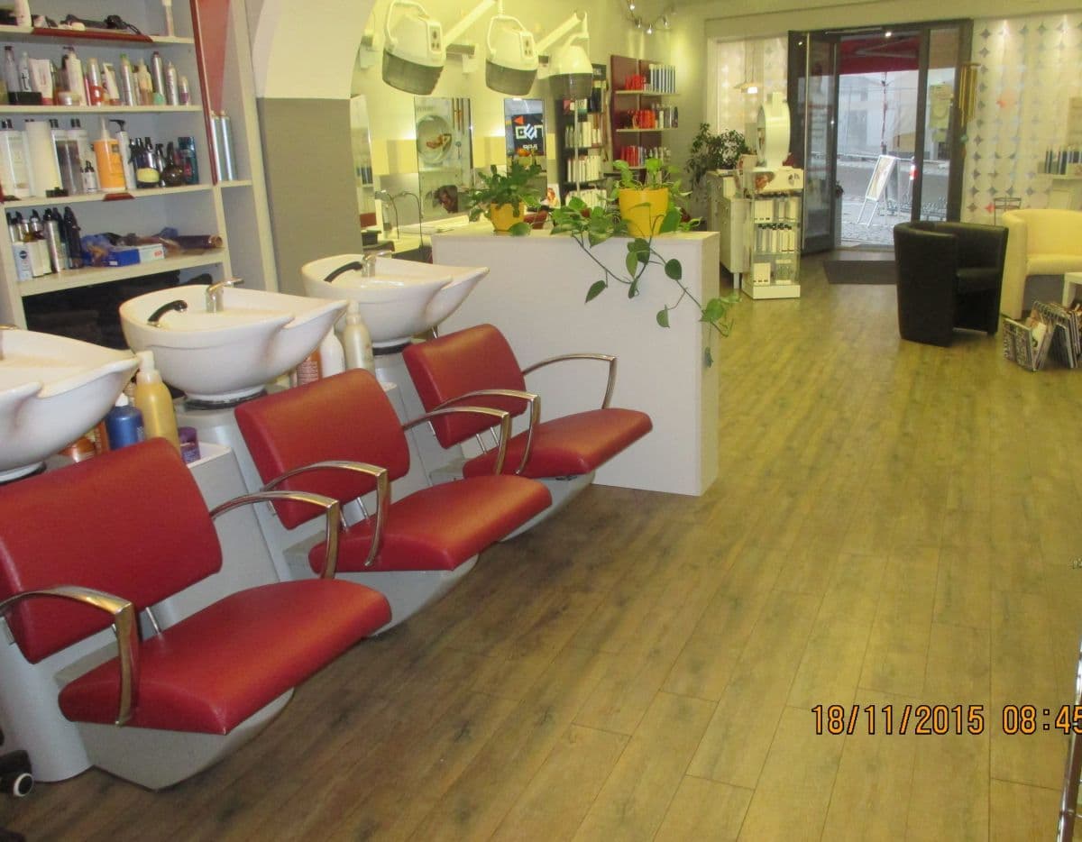 Salonbild